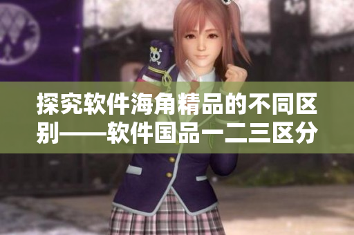 探究軟件海角精品的不同區(qū)別——軟件國品一二三區(qū)分析