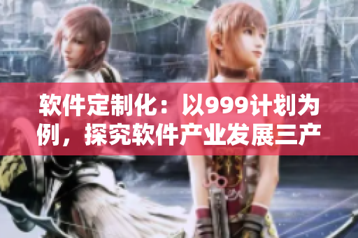 軟件定制化：以999計(jì)劃為例，探究軟件產(chǎn)業(yè)發(fā)展三產(chǎn)區(qū)策略