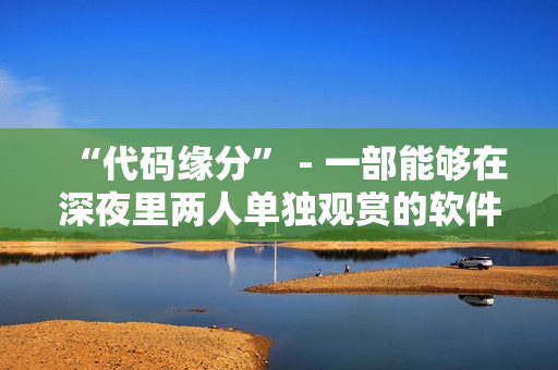 “代碼緣分” - 一部能夠在深夜里兩人單獨觀賞的軟件愛情電影
