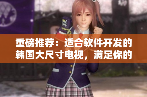 重磅推薦：適合軟件開發(fā)的韓國(guó)大尺寸電視，滿足你的多窗口需求！