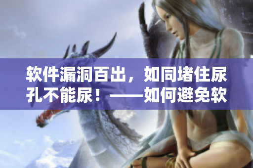 軟件漏洞百出，如同堵住尿孔不能尿！——如何避免軟件漏洞的影響