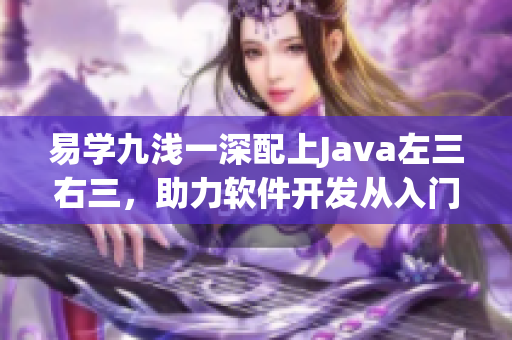 易學(xué)九淺一深配上Java左三右三，助力軟件開發(fā)從入門到精通