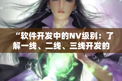 “軟件開發(fā)中的NV級別：了解一線、二線、三線開發(fā)的區(qū)別”