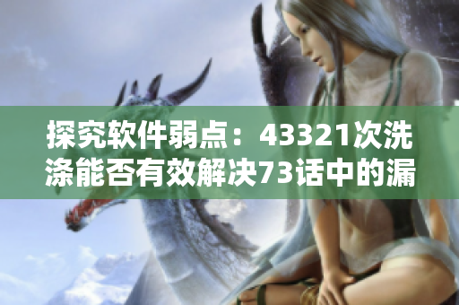 探究軟件弱點(diǎn)：43321次洗滌能否有效解決73話中的漏洞？