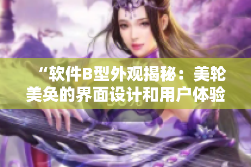 “軟件B型外觀揭秘：美輪美奐的界面設(shè)計(jì)和用戶體驗(yàn)”