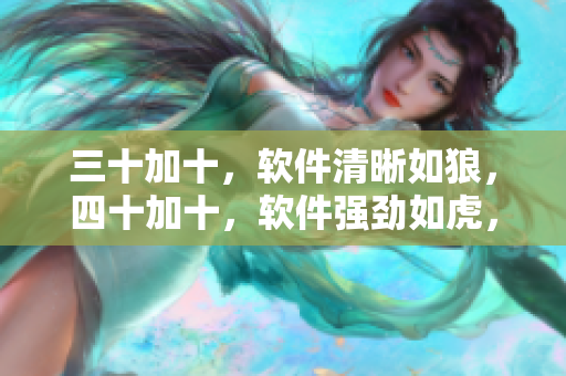 三十加十，軟件清晰如狼，四十加十，軟件強(qiáng)勁如虎，五十有余，軟件流暢如風(fēng)
