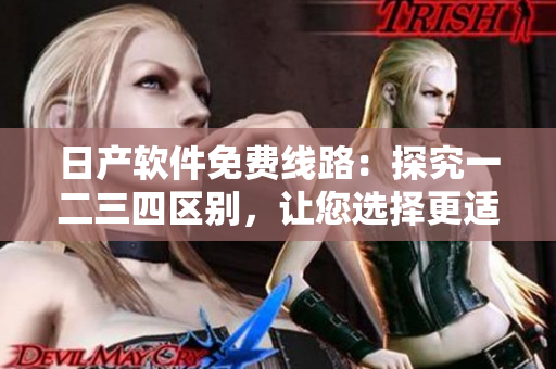日產(chǎn)軟件免費(fèi)線路：探究一二三四區(qū)別，讓您選擇更適合的軟件服務(wù)