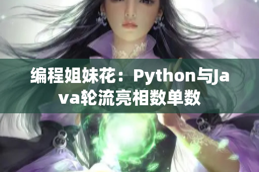 編程姐妹花：Python與Java輪流亮相數(shù)單數(shù)