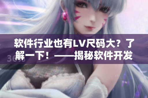 軟件行業(yè)也有LV尺碼大？了解一下！——揭秘軟件開發(fā)中常見的尺寸問題
