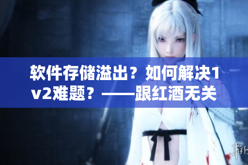 軟件存儲溢出？如何解決1v2難題？——跟紅酒無關