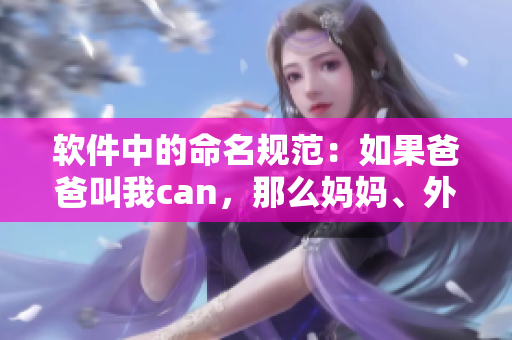 軟件中的命名規(guī)范：如果爸爸叫我can，那么媽媽、外婆應(yīng)該叫什么