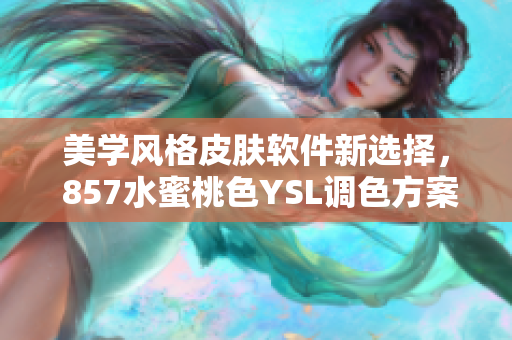 美學風格皮膚軟件新選擇， 857水蜜桃色YSL調色方案大揭秘