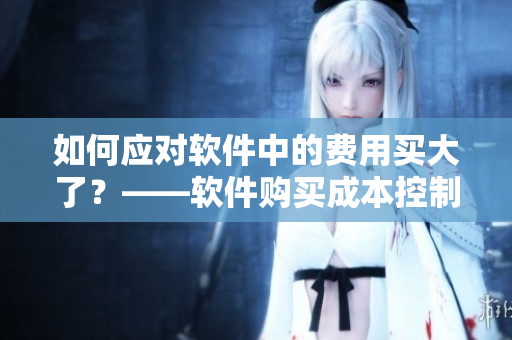 如何應(yīng)對(duì)軟件中的費(fèi)用買大了？——軟件購(gòu)買成本控制技巧分享