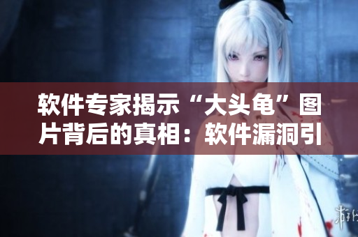 軟件專家揭示“大頭龜”圖片背后的真相：軟件漏洞引發(fā)惡意攻擊