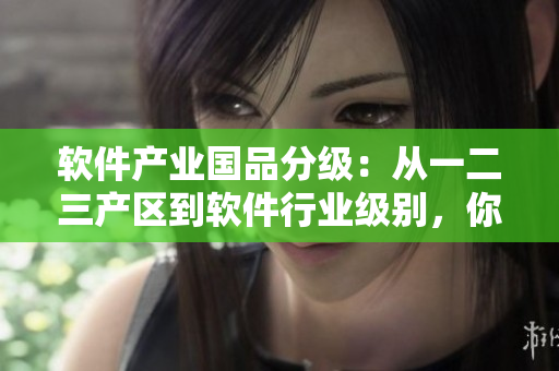 軟件產(chǎn)業(yè)國品分級(jí)：從一二三產(chǎn)區(qū)到軟件行業(yè)級(jí)別，你了解嗎？