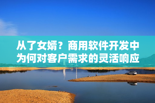 從了女婿？商用軟件開發(fā)中為何對客戶需求的靈活響應(yīng)至關(guān)重要