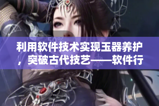 利用軟件技術(shù)實現(xiàn)玉器養(yǎng)護，突破古代技藝——軟件行業(yè)的玉器養(yǎng)大公主
