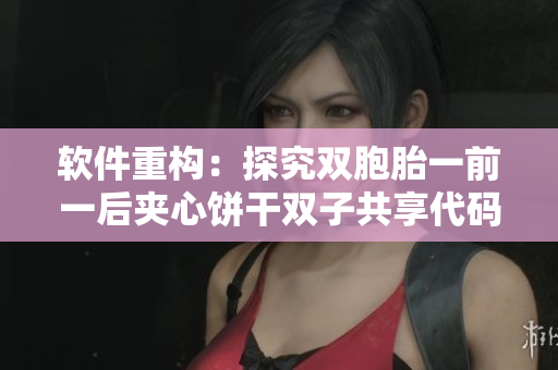 軟件重構(gòu)：探究雙胞胎一前一后夾心餅干雙子共享代碼之道