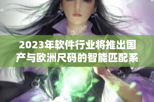 2023年軟件行業(yè)將推出國產(chǎn)與歐洲尺碼的智能匹配系統(tǒng)，解決尺碼難題