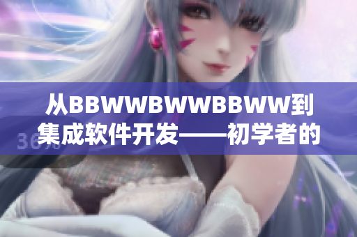 從BBWWBWWBBWW到集成軟件開(kāi)發(fā)——初學(xué)者的完美轉(zhuǎn)型指南
