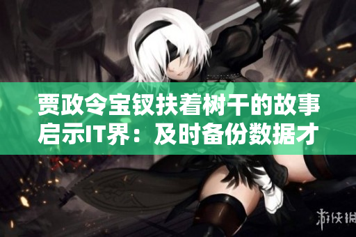 賈政令寶釵扶著樹干的故事啟示IT界：及時(shí)備份數(shù)據(jù)才能防止損失