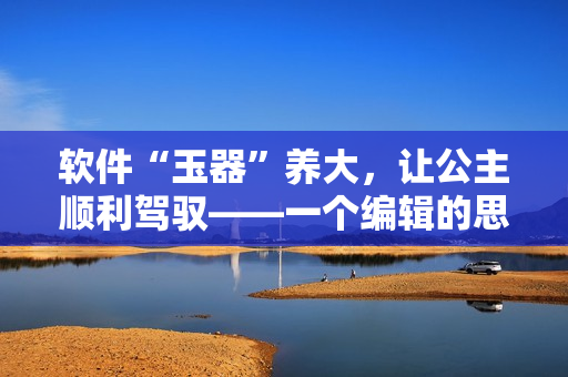 軟件“玉器”養(yǎng)大，讓公主順利駕馭——一個(gè)編輯的思考與分享