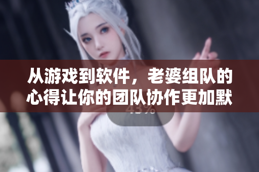 從游戲到軟件，老婆組隊(duì)的心得讓你的團(tuán)隊(duì)協(xié)作更加默契！