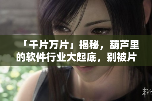 「千片萬片」揭秘，葫蘆里的軟件行業(yè)大起底，別被片面信息迷惑！