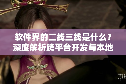 軟件界的二線三線是什么？深度解析跨平臺(tái)開發(fā)與本地軟件開發(fā)差異