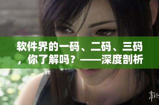 軟件界的一碼、二碼、三碼，你了解嗎？——深度剖析軟件相關(guān)編碼規(guī)范