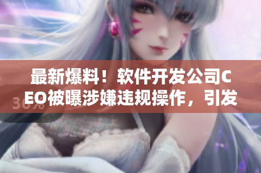 最新爆料！軟件開發(fā)公司CEO被曝涉嫌違規(guī)操作，引發(fā)業(yè)界熱議