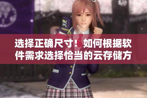 選擇正確尺寸！如何根據(jù)軟件需求選擇恰當?shù)脑拼鎯Ψ桨福? title=