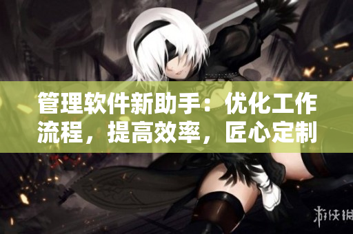 管理軟件新助手：優(yōu)化工作流程，提高效率，匠心定制多功能工具