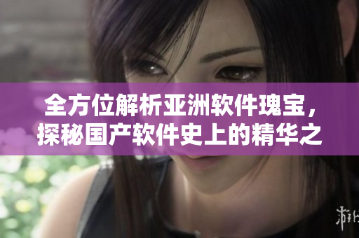 全方位解析亞洲軟件瑰寶，探秘國(guó)產(chǎn)軟件史上的精華之作