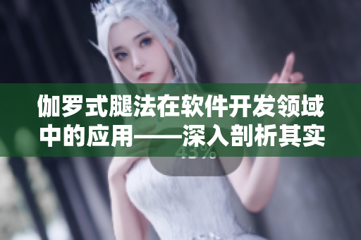 伽羅式腿法在軟件開(kāi)發(fā)領(lǐng)域中的應(yīng)用——深入剖析其實(shí)現(xiàn)原理