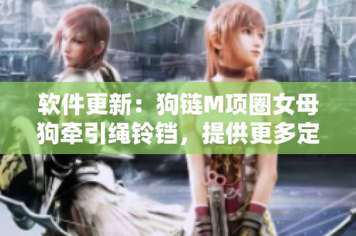 軟件更新：狗鏈M項(xiàng)圈女母狗牽引繩鈴鐺，提供更多定制化選項(xiàng)