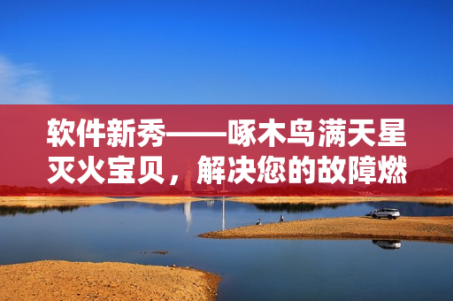 軟件新秀——啄木鳥滿天星滅火寶貝，解決您的故障燃眉之急！
