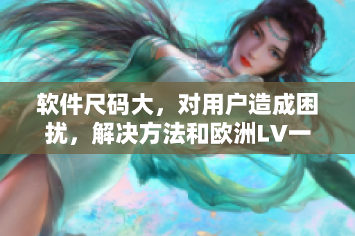 軟件尺碼大，對(duì)用戶造成困擾，解決方法和歐洲LV一樣嗎？