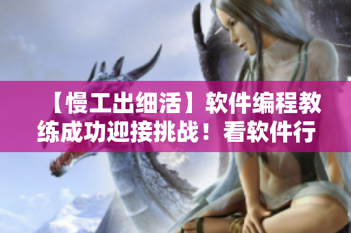 【慢工出細活】軟件編程教練成功迎接挑戰(zhàn)！看軟件行業(yè)管理者如何從中受益！