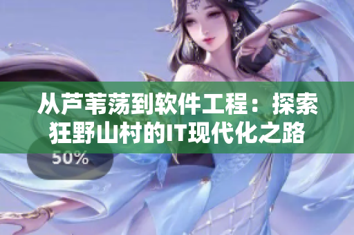 從蘆葦蕩到軟件工程：探索狂野山村的IT現(xiàn)代化之路
