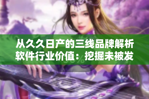 從久久日產(chǎn)的三線品牌解析軟件行業(yè)價值：挖掘未被發(fā)掘的領域潛力