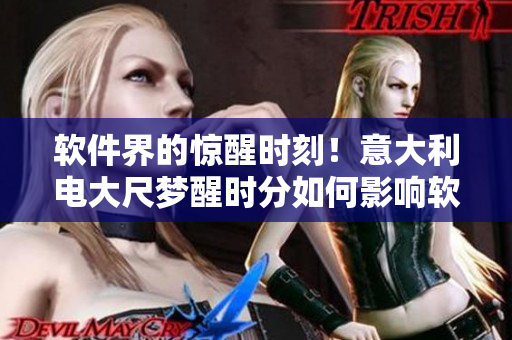 軟件界的驚醒時刻！意大利電大尺夢醒時分如何影響軟件行業(yè)