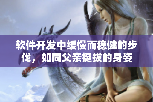 軟件開發(fā)中緩慢而穩(wěn)健的步伐，如同父親挺拔的身姿