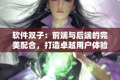軟件雙子：前端與后端的完美配合，打造卓越用戶(hù)體驗(yàn)