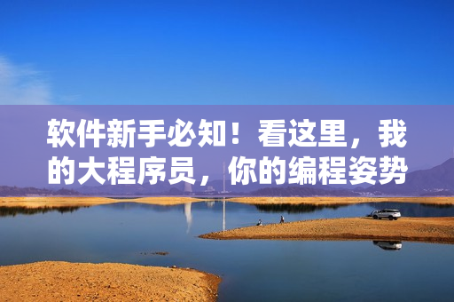 軟件新手必知！看這里，我的大程序員，你的編程姿勢到位沒？