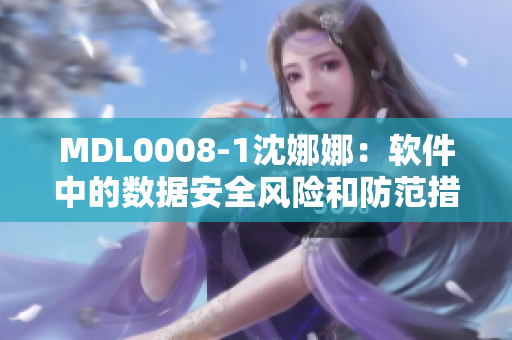 MDL0008-1沈娜娜：軟件中的數(shù)據(jù)安全風(fēng)險(xiǎn)和防范措施