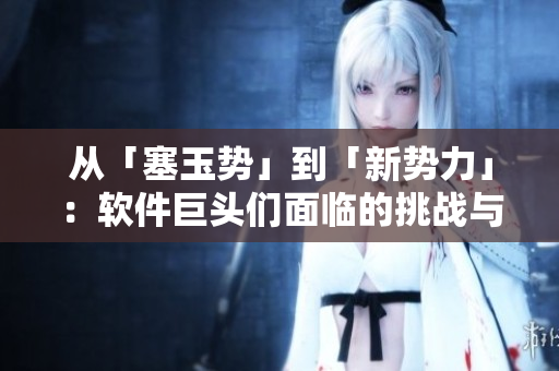 從「塞玉勢(shì)」到「新勢(shì)力」：軟件巨頭們面臨的挑戰(zhàn)與機(jī)遇