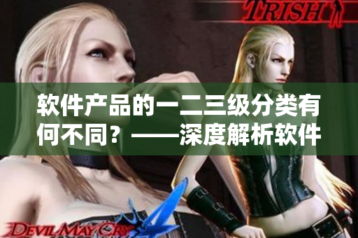 軟件產(chǎn)品的一二三級分類有何不同？——深度解析軟件產(chǎn)品的不同區(qū)域。