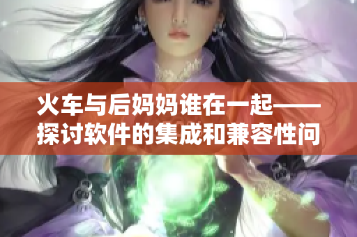 火車與后媽媽誰(shuí)在一起——探討軟件的集成和兼容性問(wèn)題