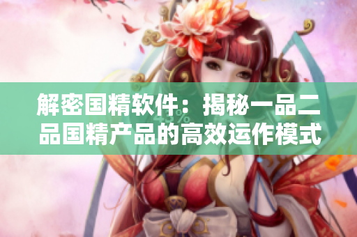 解密國(guó)精軟件：揭秘一品二品國(guó)精產(chǎn)品的高效運(yùn)作模式
